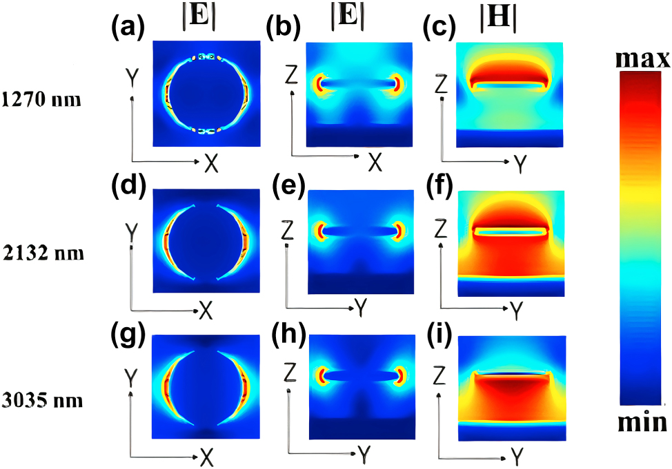 Teaser image from the article