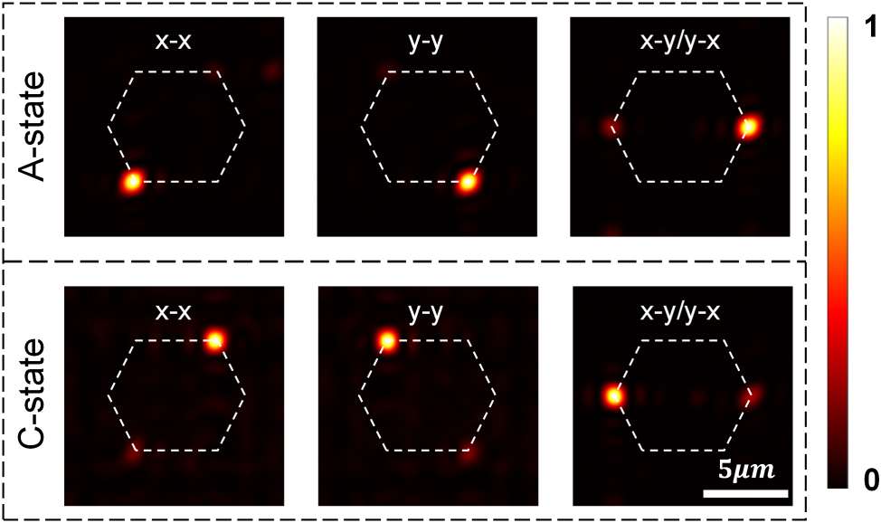 Figure 4: 
Simulated optical performance of the proposed dynamically reconfigurable multifocal metalens. (a–c) Intensity distributions at the designed focal plane corresponding to three polarization channels (x–x, x–y, y–y) in the A-state. (d–f) Corresponding intensity distributions under the same polarization configurations in the C-state. Six focal spots are preassigned at coordinates (−3 μm, 4 μm), (3 μm, 4 μm), (5 μm, 0 μm), (3 μm, −4 μm), (−3 μm, −4 μm), and (−5 μm, 0 μm), forming a hexagonal pattern indicated by white dashed lines.
