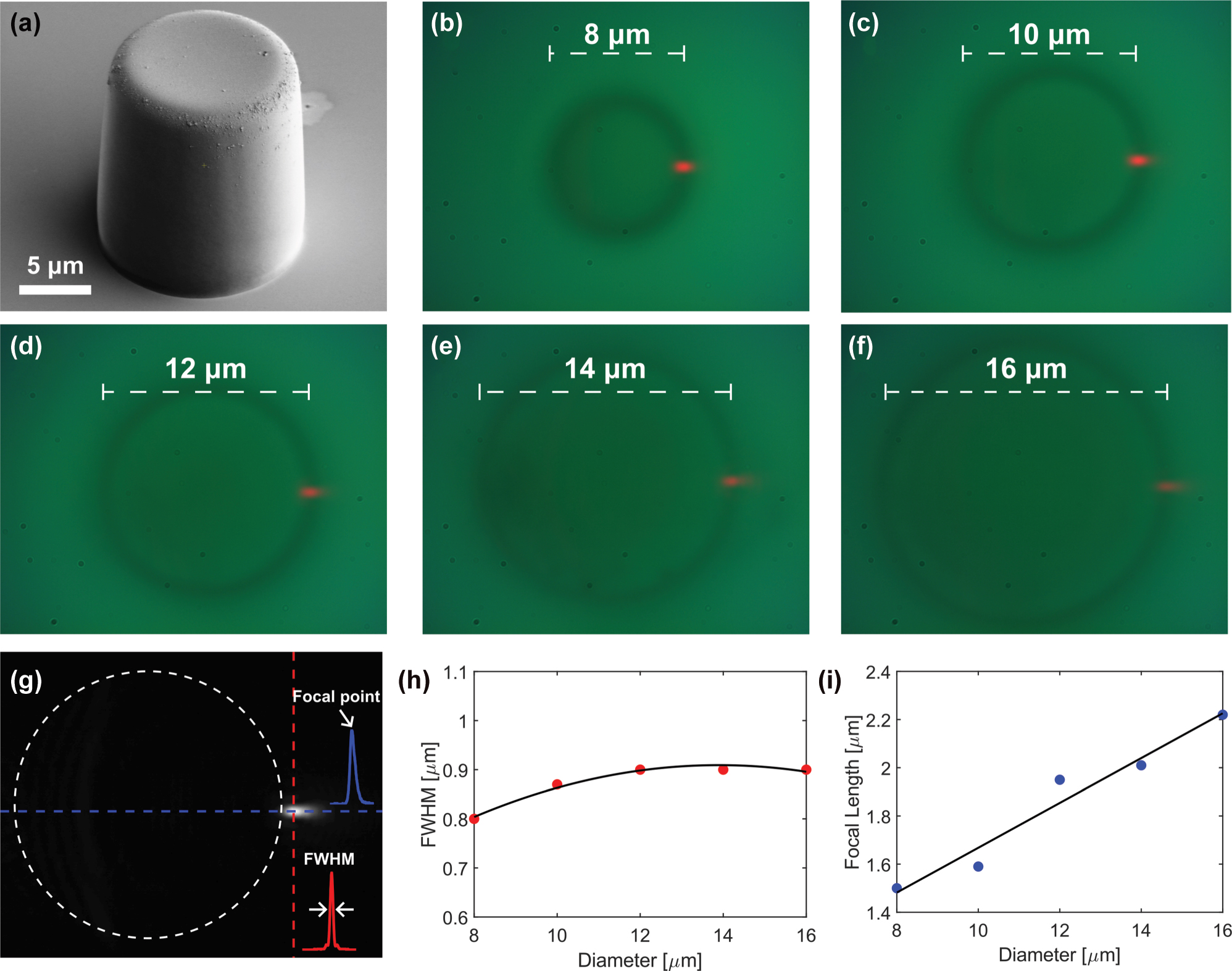 Figure 2:
Experimental images of photonic nanojets generated by upright cylinders of different diameters. (a) SEM image of one of the five fabricated cylinders, with a diameter of 14 μm. (b)–(f) Show the photonic nanojets generated by side illumination of cylinders with diameters of 8, 10, 12, 14, and 16 μm, respectively. (g) Grayscale image of the 16 μm cylinder with vertical (red) and horizontal (blue) cross section lines placed at the point of maximal intensity. The insets show the corresponding intensity cross sections: red for vertical (used to calculate the FWHM) and blue for horizontal (used to calculate the focal point). (h) FWHM values as a function of cylinder diameter. (i) Focal point values as a function of cylinder diameter.