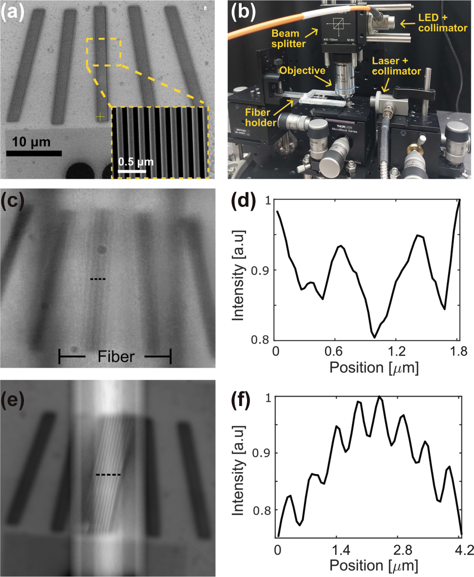 Figure 4:
Super resolution imaging results. (a) SEM image of the grating sample, consisting of 10 lines approximately 92 nm wide with about 92 nm spacing, arranged in five angular configurations (−15°, −8°, 0°, 8°, and 15°); the inset shows a close-up of the middle grating. (b) Image of the optical setup, where the tapered fiber is held by a custom fork shaped holder mounted on a three axis translation stage. (c) Optical image of the middle grating captured through the tapered fiber, positioned directly above it. Only the grating lines aligned with the nanojet region are resolved, while the surrounding areas remain unresolved. (d) Intensity cross-section along the dotted line in (c). (e) Ray tracing simulation of the grating as imaged through the fiber. (f) Intensity cross-section along the dotted line in (e).