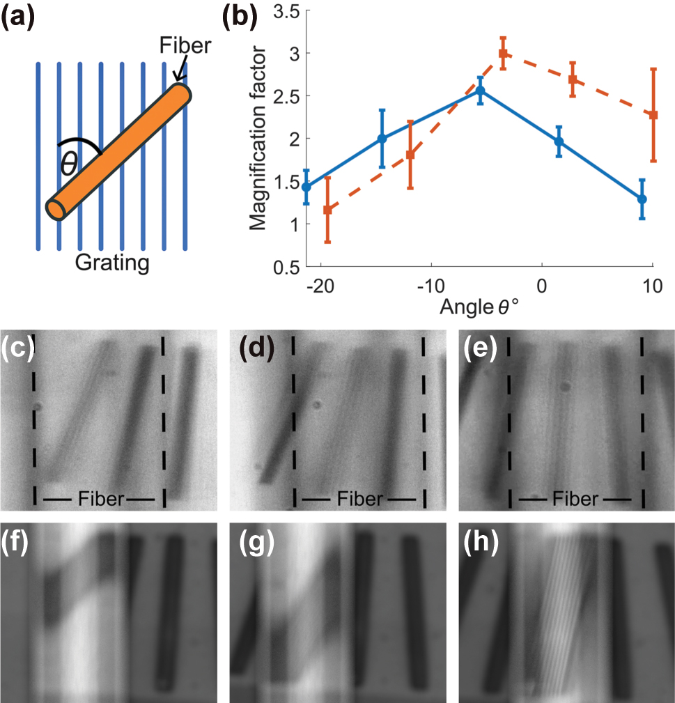 Figure 5:
Magnification as a function of the angle between the fiber and the grating. (a) Illustration of the angle between the fiber axis and the grating lines. (b) Comparison of the calculated magnification factor as a function of this angle, showing both experimental results (blue circles with solid fit) and simulation results (orange squares with dashed fit). Error bars represent propagation from measurement variation across 10 sampling lines, uncertainty in SEM-measured grating pitch (5 nm), and estimated angle measurement error (±1°). (c) to (e) Experimental images of the fiber positioned over gratings at absolute grating angles of −15°, −8°, and 0°. (f) to (h) Corresponding simulation results for the same angles.