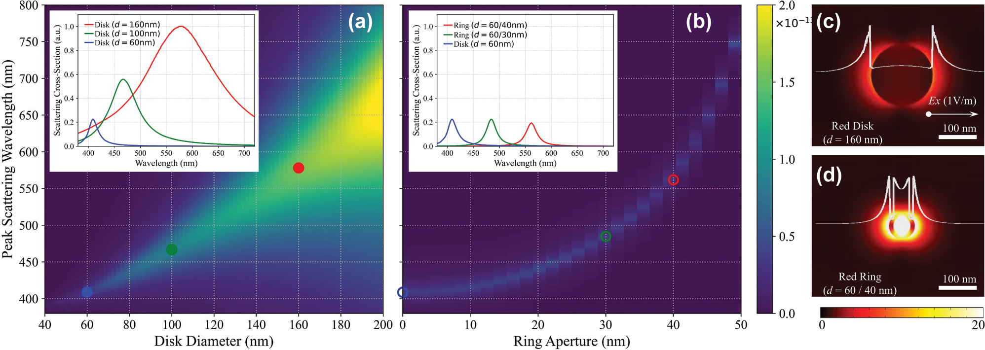Figure 2: 
Geometry-controlled spectral tuning. (a) Simulated peak scattering wavelengths for nanodisks with varying diameters (x-axis), showing a redshift with increasing size. Inset: Scattering cross-sections for RGB-targeted disks (60, 100, 160 nm), indicating broad linewidths and spectral overlap. (b) Simulated peak scattering wavelengths for nanorings with fixed outer diameter (60 nm) and varying inner aperture sizes, demonstrating tunability by inner void size. Inset: Scattering cross-sections of RG-targeted nanorings (60/30, 60/40 nm) and 60 nm disk for blue, showing sharper, more spectrally separated peaks. (c–d) Electric-field magnitude (|E|) maps with cross-sectional profiles at resonance for the red-resonant nanodisk (160 nm) and nanoring (60/40 nm) under x-polarized excitation, illustrating distinct near-field confinement.
