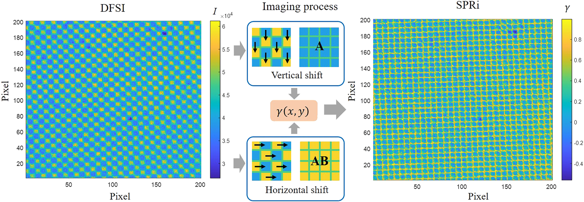 Figure 4: 
Colorized checkerboard-like DBSI, horizontally and vertically shifted to form demosaiced images for spectral contrast response analysis and reconstruction of the SPRi image.
