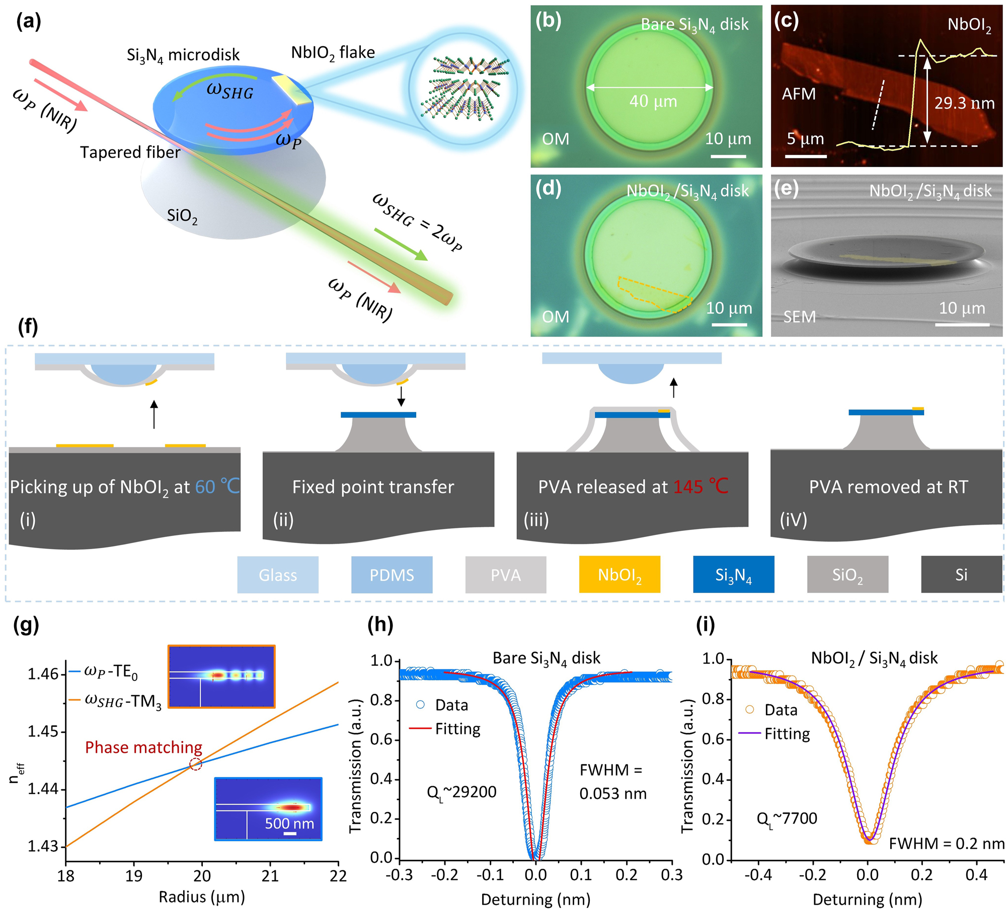 Teaser image from the article