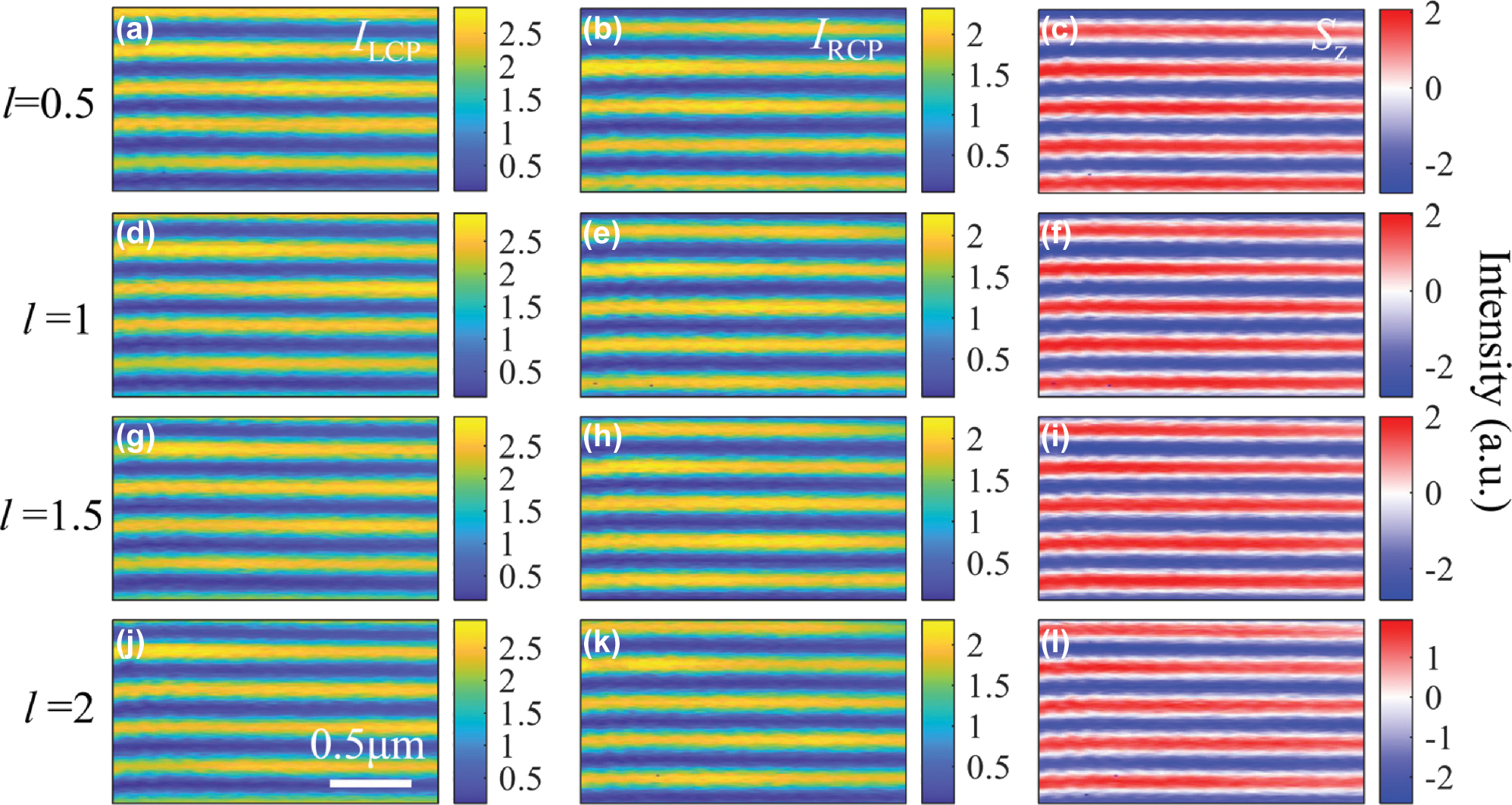 Figure 3: 
The experimental results for the SPPs that are excited by RPOV beam with (a–c) 0.5-order vortex phase, (d–f) 1-order vortex phase, (g–i) 1.5-order vortex phase, and (j–l) 2-order vortex phase, respectively. The left and middle panels show the measured intensity of LCP and RCP component of SPPs, and the right panel shows the resultant z-component of SAM (Sz).

