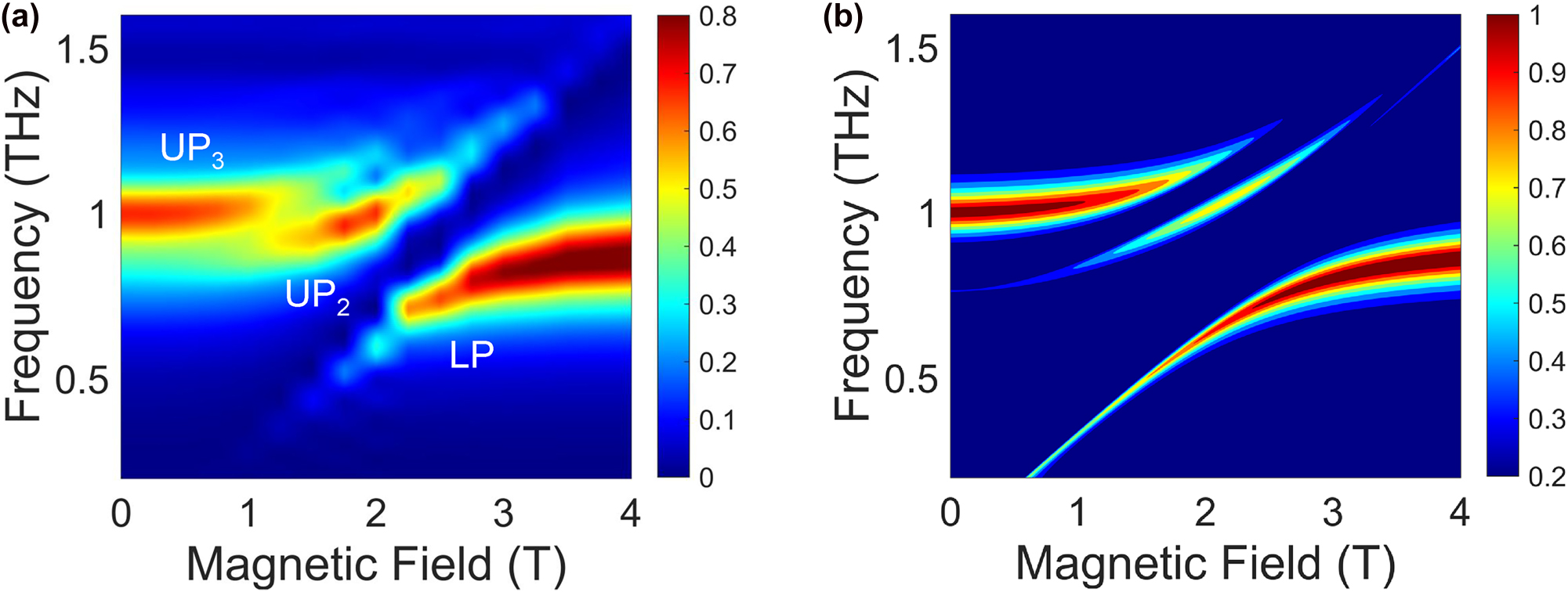 Figure 2: 
Spectroscopic evidence for the multimode coupling. (a) Experimental color map of transmittance as a function of frequency and magnetic field. The upper polariton is split into two parts, corresponding to UP2 and UP3 in Figure 1(d). (b) Theoretical color map of transmittance based on the multimode Hopfield model.

