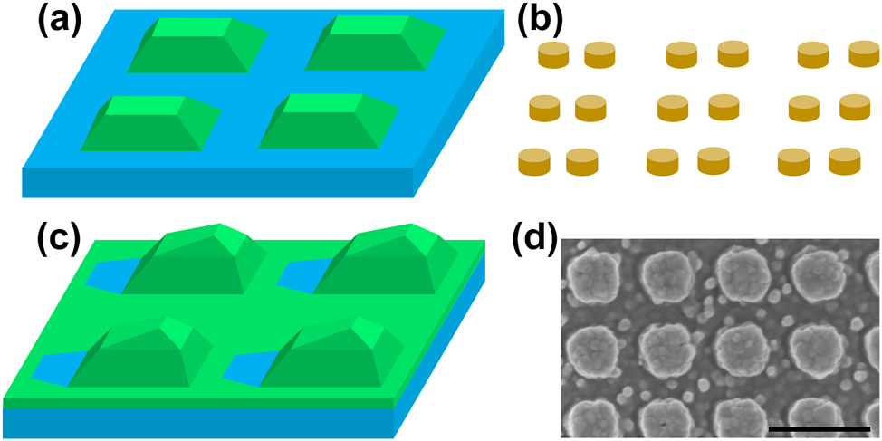 Figure 1: 
The metasurfaces that support q-BIC are illustrated. The numerically simulated (a) lossless TiO2 metasurface, (b) lossy bipartite Si metasurface, (c) asymmetric TiO2 metasurface and (d) experimental asymmetric TiO2 metasurface are investigated in Section 3.1–3.4. The colors used are: TiO2: green, SiO2 (substrate): blue, Si: orange. The scale bar in the SEM image is 500 nm.
