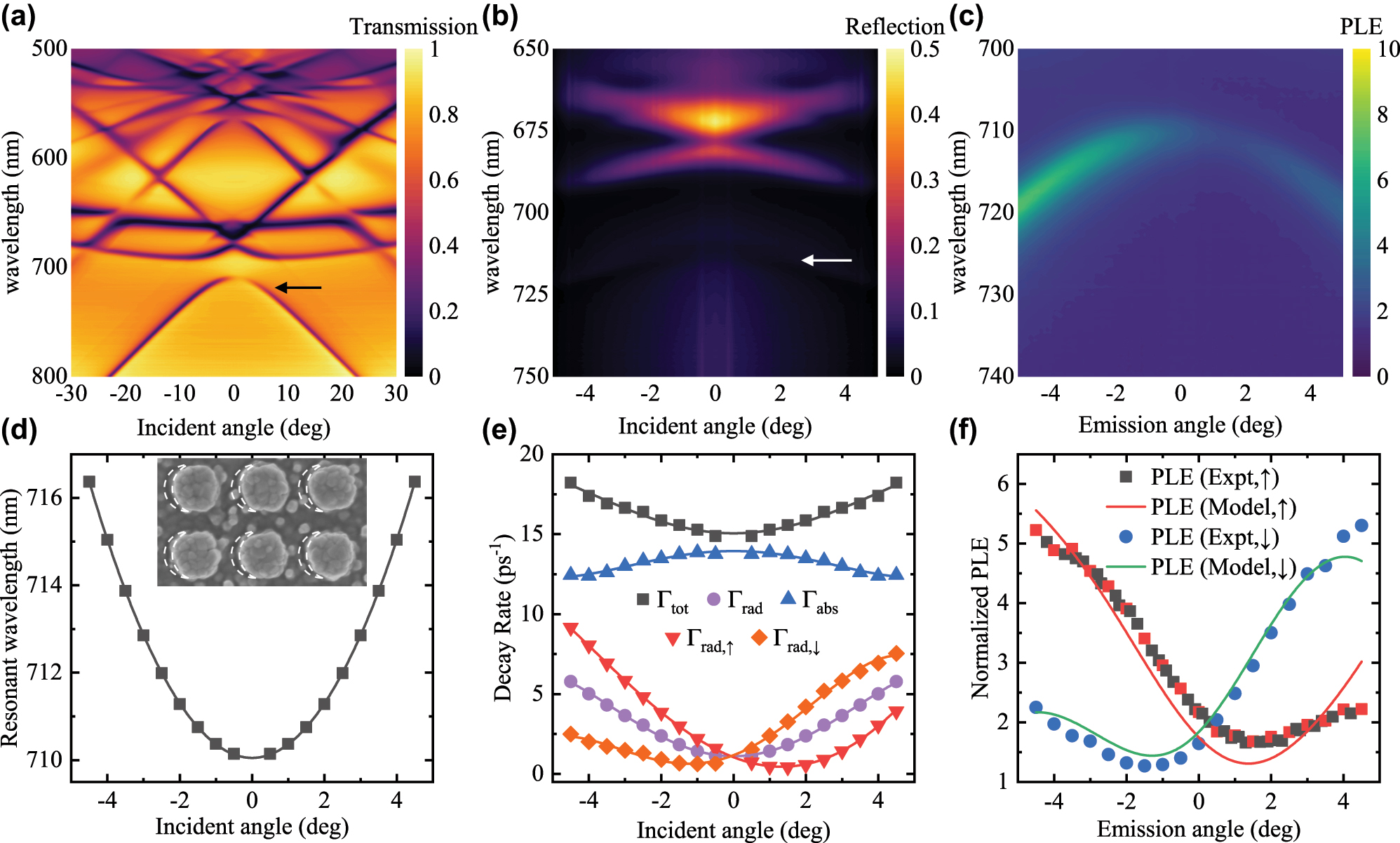 Figure 5: 
The measured (a) transmissivity, (b) reflectivity, and (c) PLE (I/I
0) of the asymmetric TiO2 metasurface fabricated by glancing angle deposition. The arrows indicate the mode of interest. The (d) resonant wavelength and (e) decay rates Γtot, Γrad, Γabs, Γrad,↑ and Γrad,↓ are plotted as a function of the incident angle θ. The inset in (d) highlights the asymmetry in the TiO2 metasurface. The void formed under the shadow of TiO2 nanoparticles during glancing angle deposition are outlined by the dashed lines. (f) The re-normalized PLE and predicted PLE are plotted as a function of the emission angle θ.
