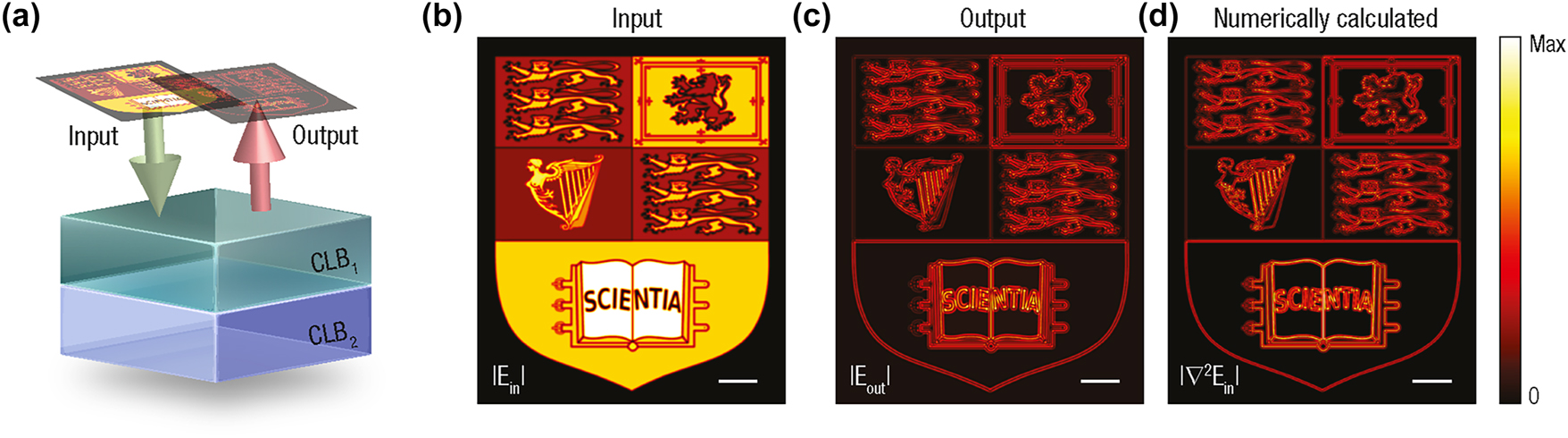 Figure 4: 
Chirality-driven, all-optical Laplacian operator in modulus enabling broadband, high-fidelity edge detection. (a) Schematic of the proposed Laplacian-like differentiator: for the configuration displayed in Figure 1(b), when surrounded by an isotropic medium of refractive index 





n

̄




$\bar{n}$



, the reflected signal corresponds to the modulus of the Laplacian of the electric field profile of the incident lightwave. (b) Normalized intensity profile of the input beam, |E
in|, used to excite the structure. (c) Simulated amplitude of the reflected field, |E
out|, based on the transfer function illustrated in Figure 3. The output accurately reproduces the high-contrast features expected from Laplacian-based edge detection. (d) Numerically calculated magnitude of the Laplacian of the input profile, |∇2
E
in|, shown for comparison. The proposed scheme accurately reconstructs the edges and fine details of the Imperial College crest, in excellent agreement with those obtained from the analytical Laplacian [cf. panels (c) and (d)]. The scale bars in panels (b)–(d) correspond to 20 × 2π/k
0.
