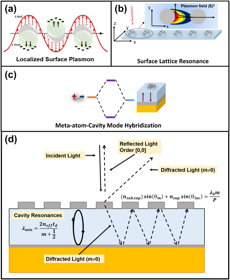 Figure 2: 
Optical phenomena involved in our metasurfaces. Schematic representation of localized surface plasmon resonance (a), surface lattice resonance (b), and meta-atom-cavity mode hybridization (c). The plus and minus signs visually represent the distribution of oscillating charges. (d) Schematic representation of the main optical phenomena associated with the grating and the cavity, excluding plasmonic resonances. See Equation (5) for the definitions of n
sub, n
sup, m, θ

m
, and θ
inc.
