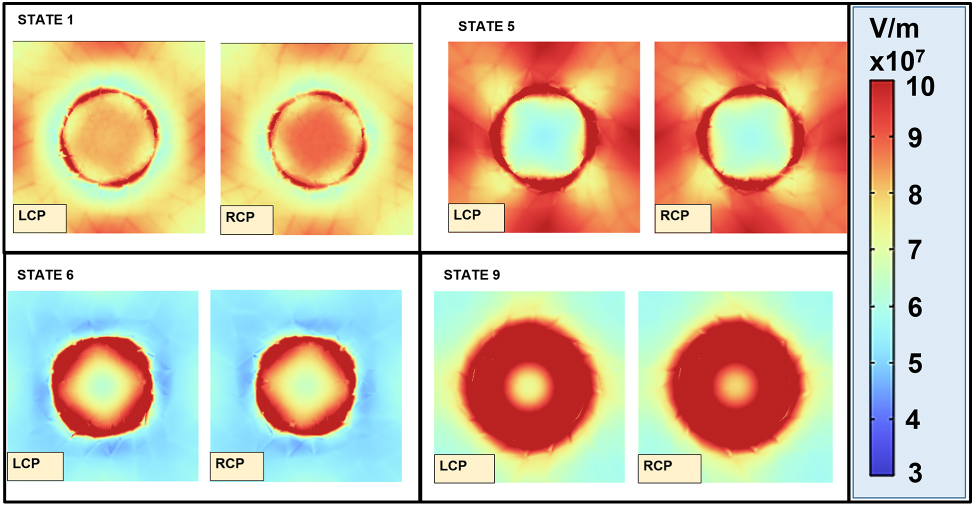Figure 5: 
Magneto-optical electric field response. Effects of the external magnetic field on the electric field distribution in the presence of LCP and RCP light for states 1, 5, 6, and 9.
