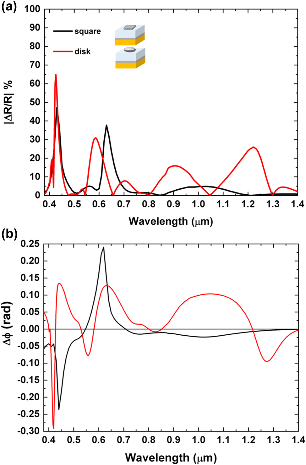 Figure 8: 
Spectral analysis of reflectance contrast, and phase delay. (a) Absolute values of percentage reflectance contrast illustrating the reflectance differences between RCP and LCP polarizations for cells with P of 0.28 µm with square shaped meta-atoms (black line) or disk-shaped meta-atoms (red line). (b) A comparative analysis of metasurfaces phase variations for RCP and LCP lights featuring disk-shaped and square-shaped meta-atoms, both with a cell period P of 0.280 µm.
