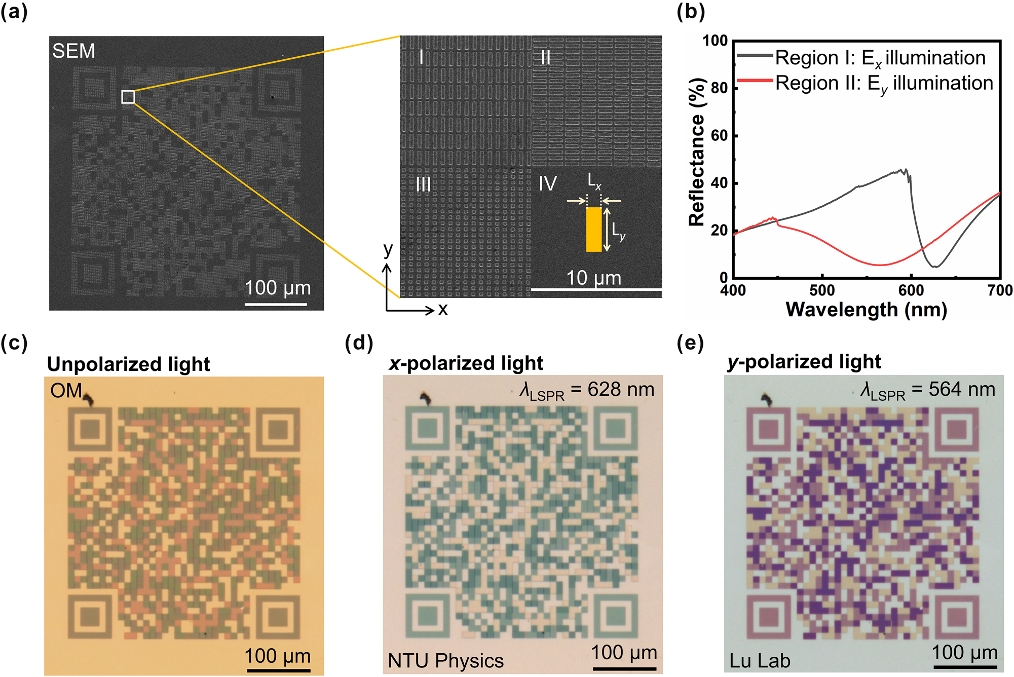 Figure 4: 
Polarization-encoded color image encryption with refractory HfN metasurfaces, retaining optical functionality after 900 °C annealing. (a) SEM image of the fabricated polarization-sensitive PM and magnified view showing orthogonally arranged HfN patch antenna metasurfaces in two regions with distinct dimensions (Lx, Ly). (b) Measured reflectance spectra of the two HfN PM regions under x- and y-polarized illumination, revealing distinct LSPR wavelengths at 628 nm and 564 nm. (c) OM image under unpolarized illumination showing a superimposed color pattern that conceals the encoded information. (d) Under x-polarized illumination, the first color channel is selectively revealed, displaying the QR code patterns directly to the website of NTU Physics. (e) Under y-polarized illumination, the second color channel is revealed, and the QR code patterns direct to the lab website. The polarization selectivity enables reliable decryption of encoded information and robust optical encryption.
