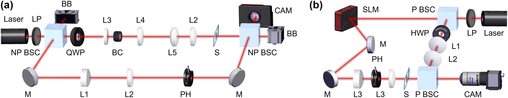 Figure 3: 
Schematic presentation of the Mach–Zehnder interferometer experimental setups for CR family beams (a): NP BSC non-polarising beamsplitter cube, LP linear polarizer, BB beam block, QWP quarter-wave plate, BC biaxial crystal, L1, L2, L3, L4, L5 lenses, M mirror, PH pinhole, S sample, CAM camera; and for LG beams (b): P BSC polarising beamsplitter cube, HWP half-wave plate, L1, L2, L3 lenses.
