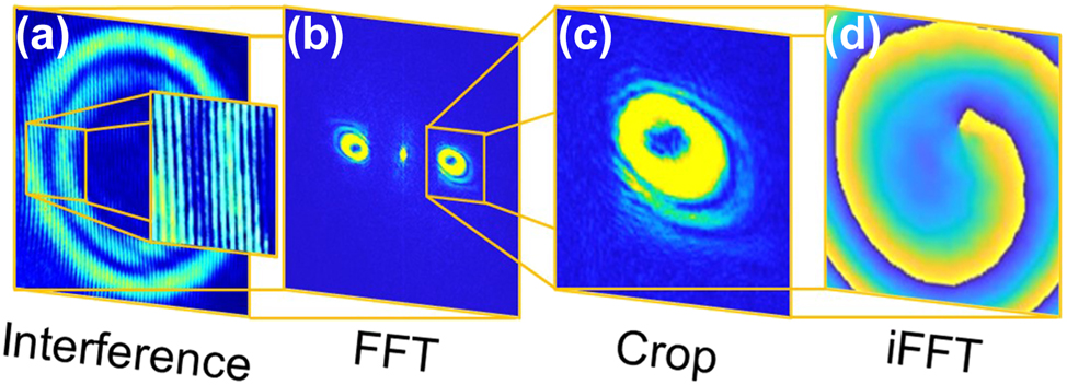 Figure 4: 
Schematic presentation of phase retrieval process for CR- and LG-based structured beams [9]. Recorded off-axis interference pattern (a), FFT of the captured interference (b), crop of the frequency spectrum corresponding to the structured beam (c), and iFFT of the cropped spectrum (d).
