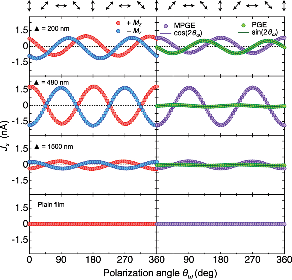 Figure 3: 
Polarization dependence of MPGE and PGE at 880 nm. The zero-bias photocurrent J

x
 shows a clear dependence on the polarization angle θ

ω
 of the incident light, consistent with symmetry predictions. In all MMs except the 200 nm one, the photocurrents at opposite magnetization directions are nearly equal in magnitude but opposite in sign. Subtracting the signals from opposite magnetizations isolates the MPGE contribution, whereas their sum corresponds to the magnetization-independent PGE. Under 880 nm irradiation, the MPGE amplitude is comparable to or larger than that of the PGE in all MMs. As expected, no photocurrent is detected in the centrosymmetric plain film.
