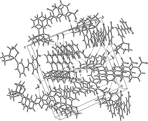 Figure 1: The packing diagram of the title compound, showing supramolecular network.