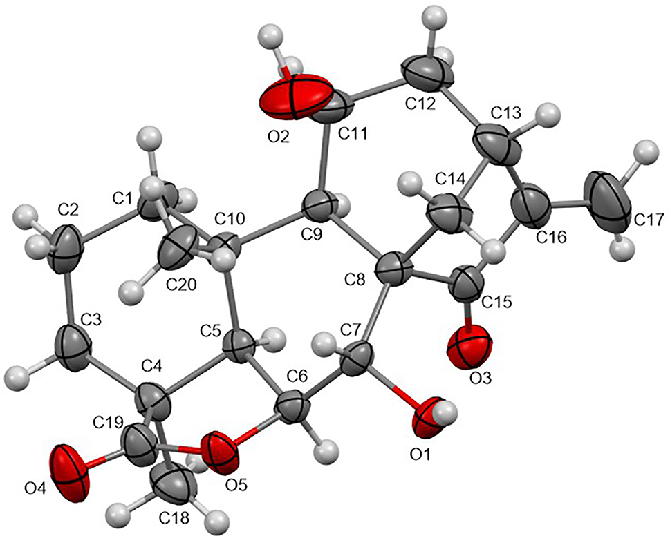 Teaser image from the article