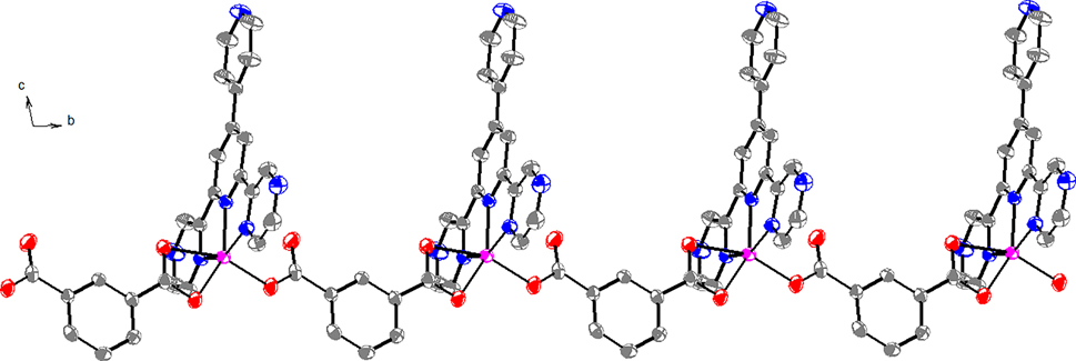 Figure 2:
The 1D chain structure of the title compound.