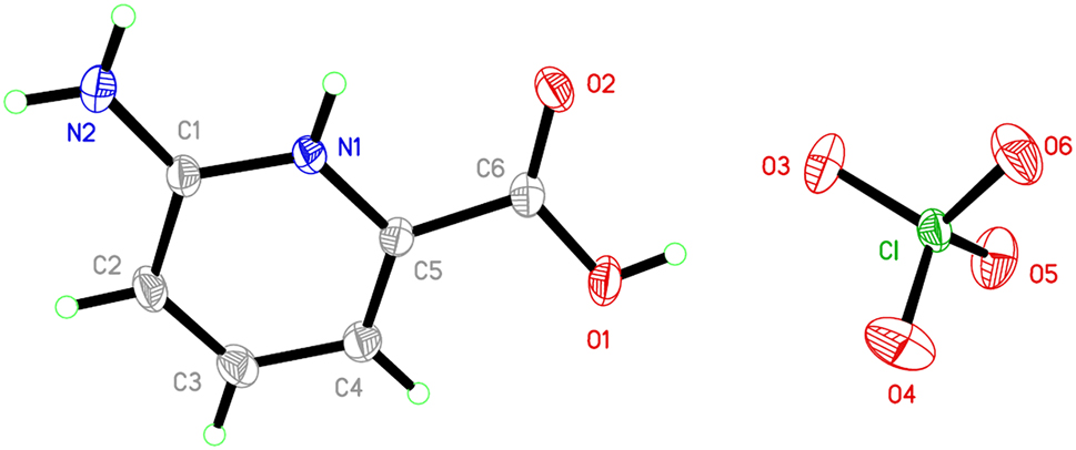 Teaser image from the article