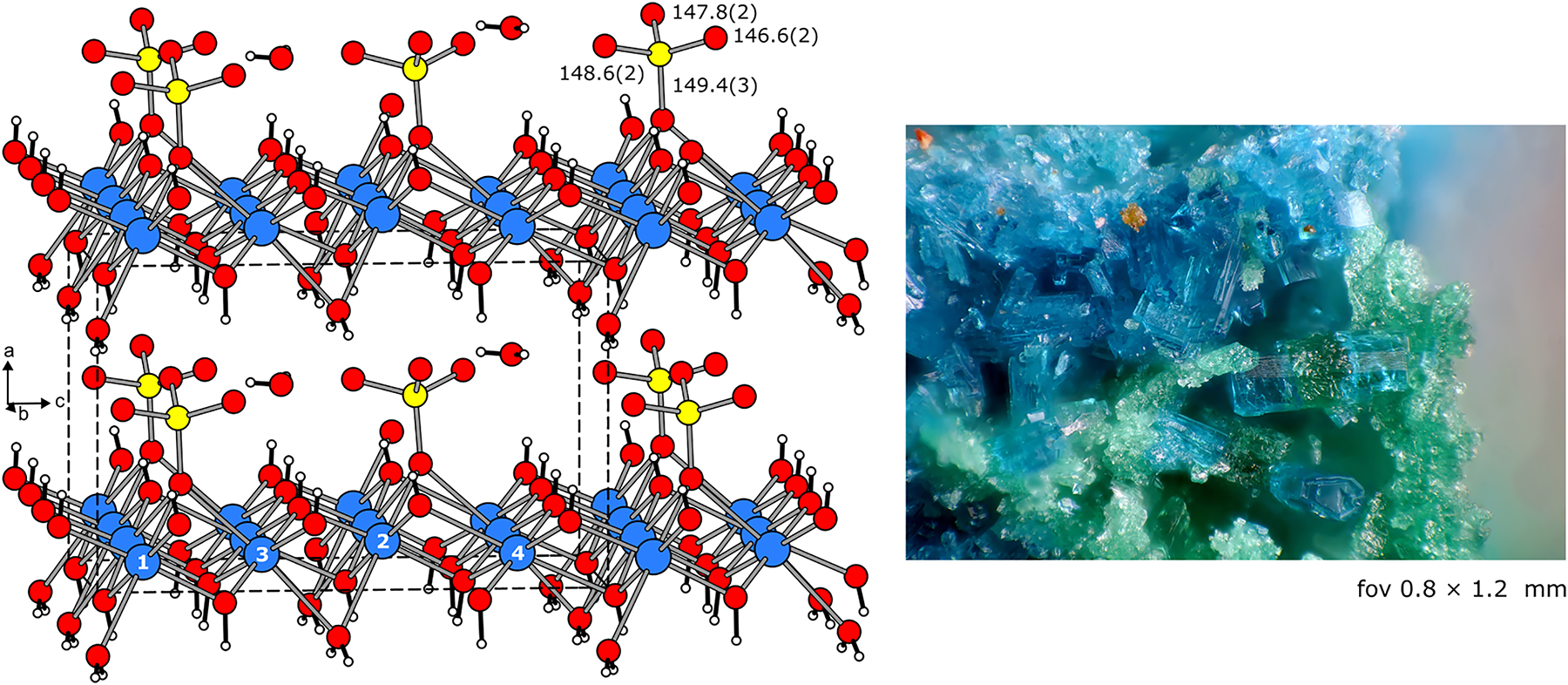 Teaser image from the article