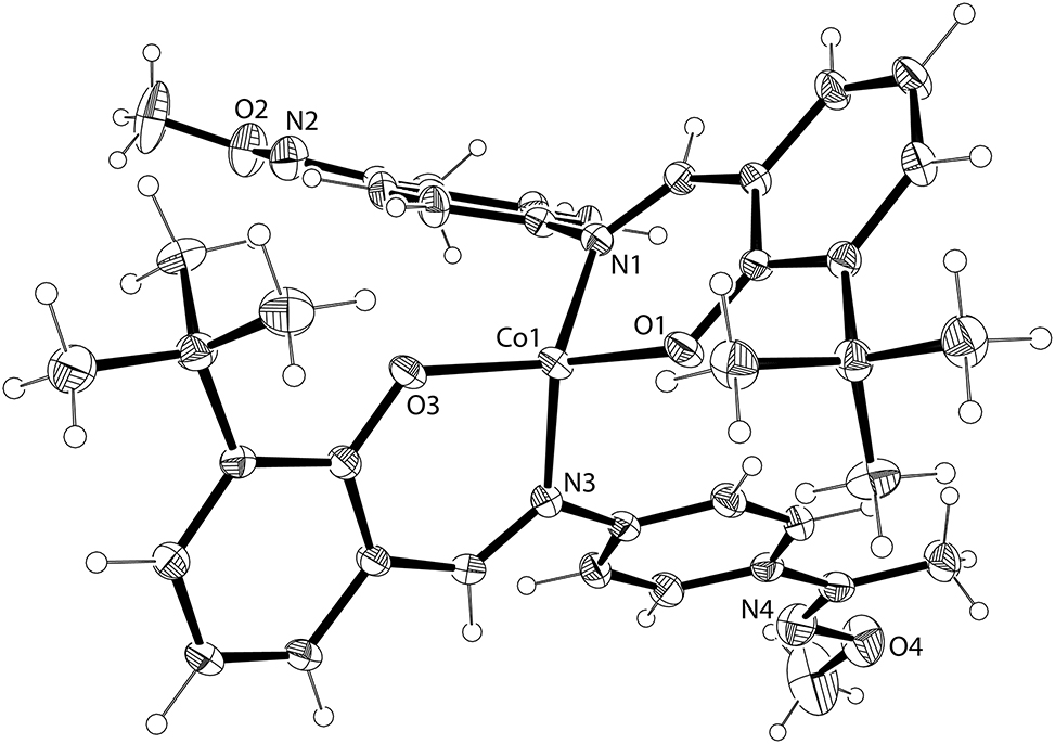 Teaser image from the article
