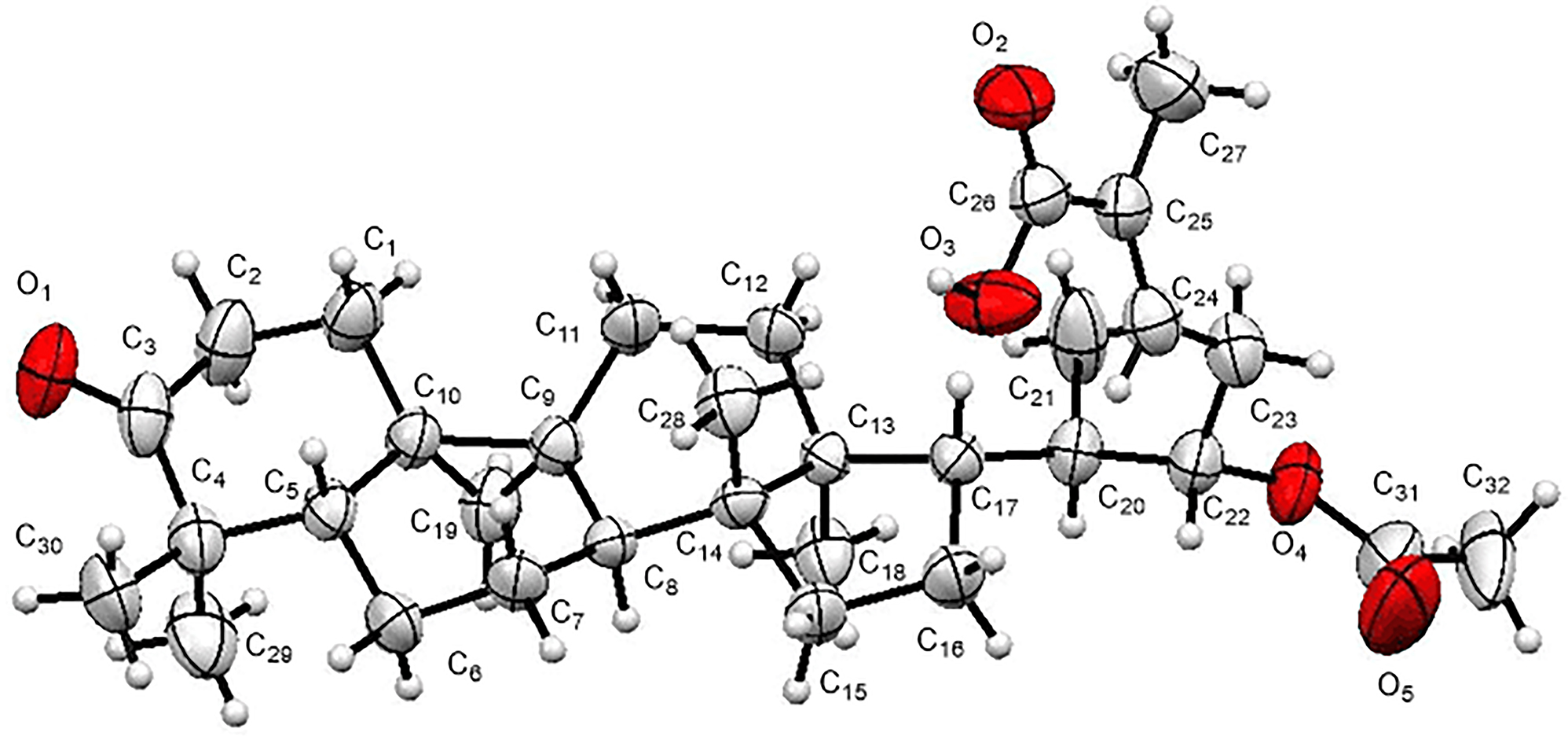 Teaser image from the article