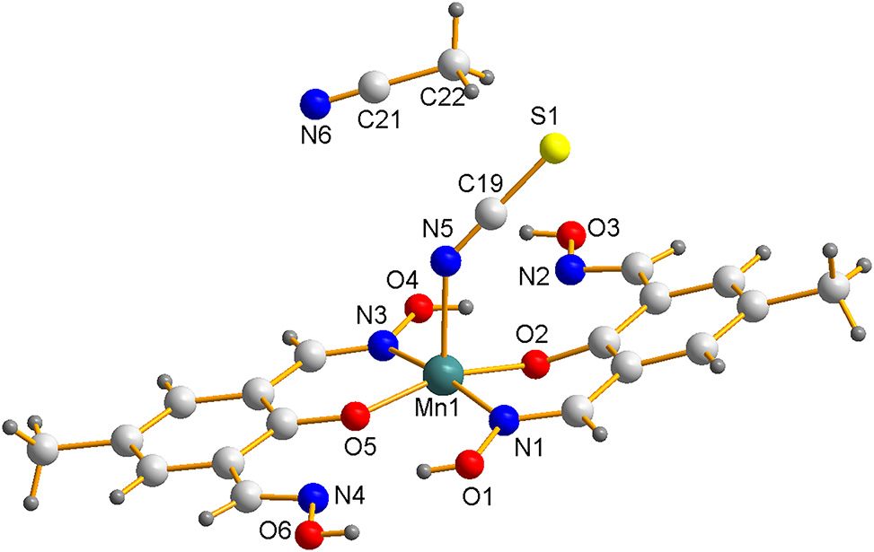 Teaser image from the article