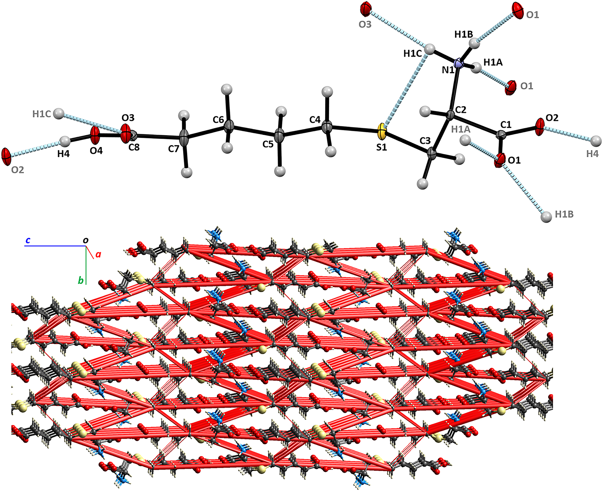 Teaser image from the article