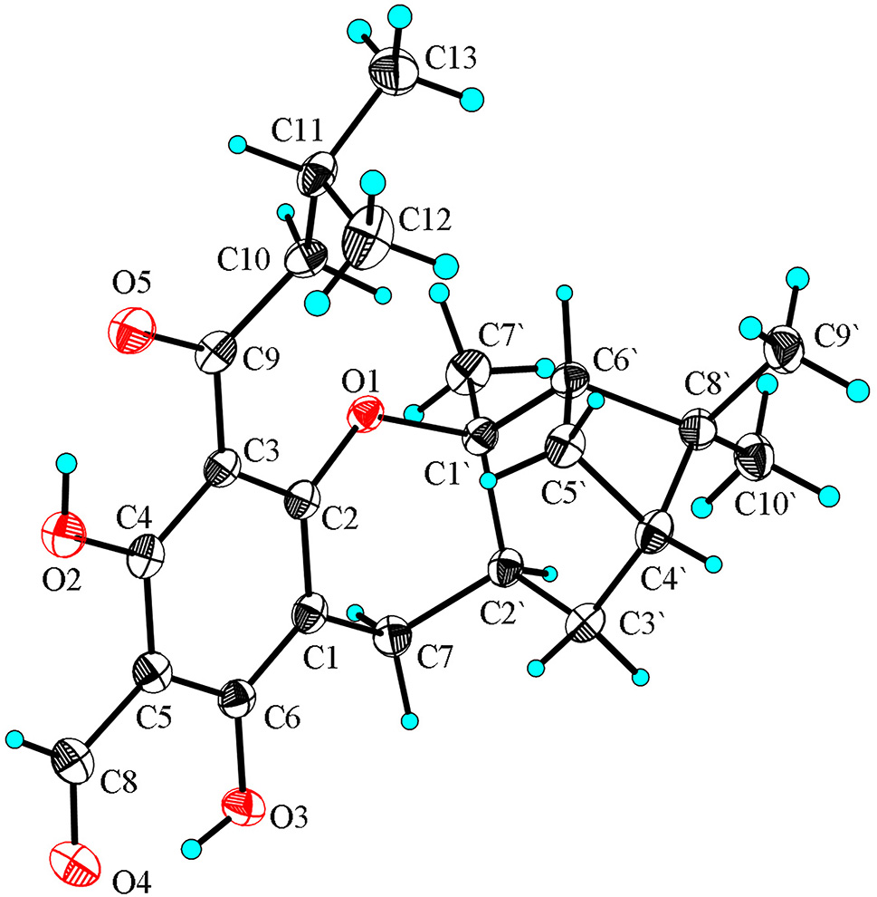Teaser image from the article