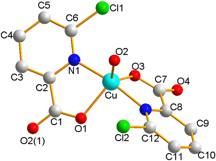 Teaser image from the article