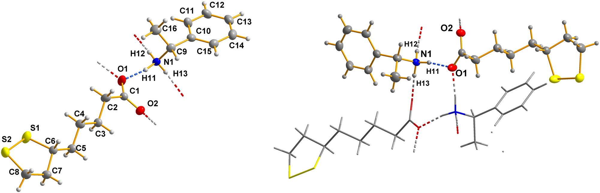 Teaser image from the article