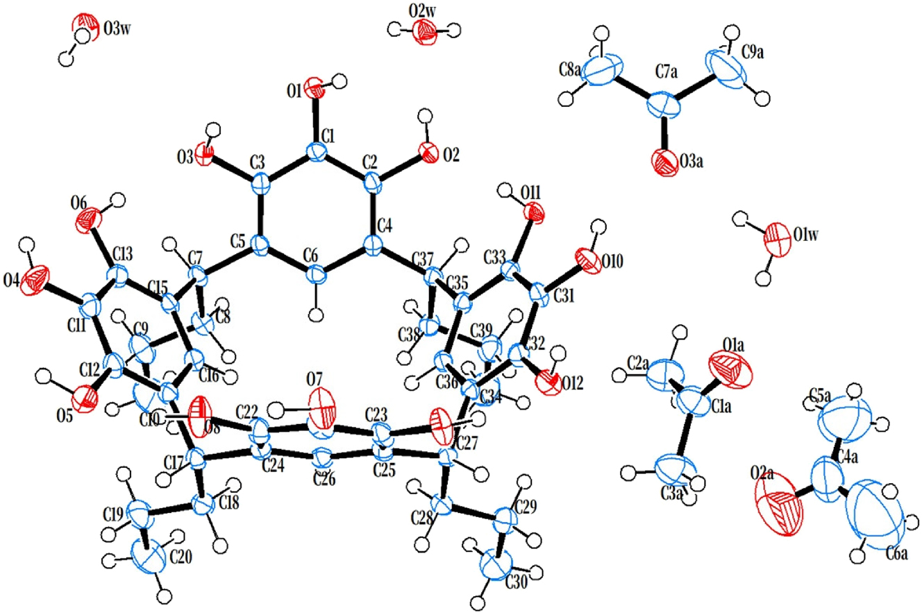 Teaser image from the article