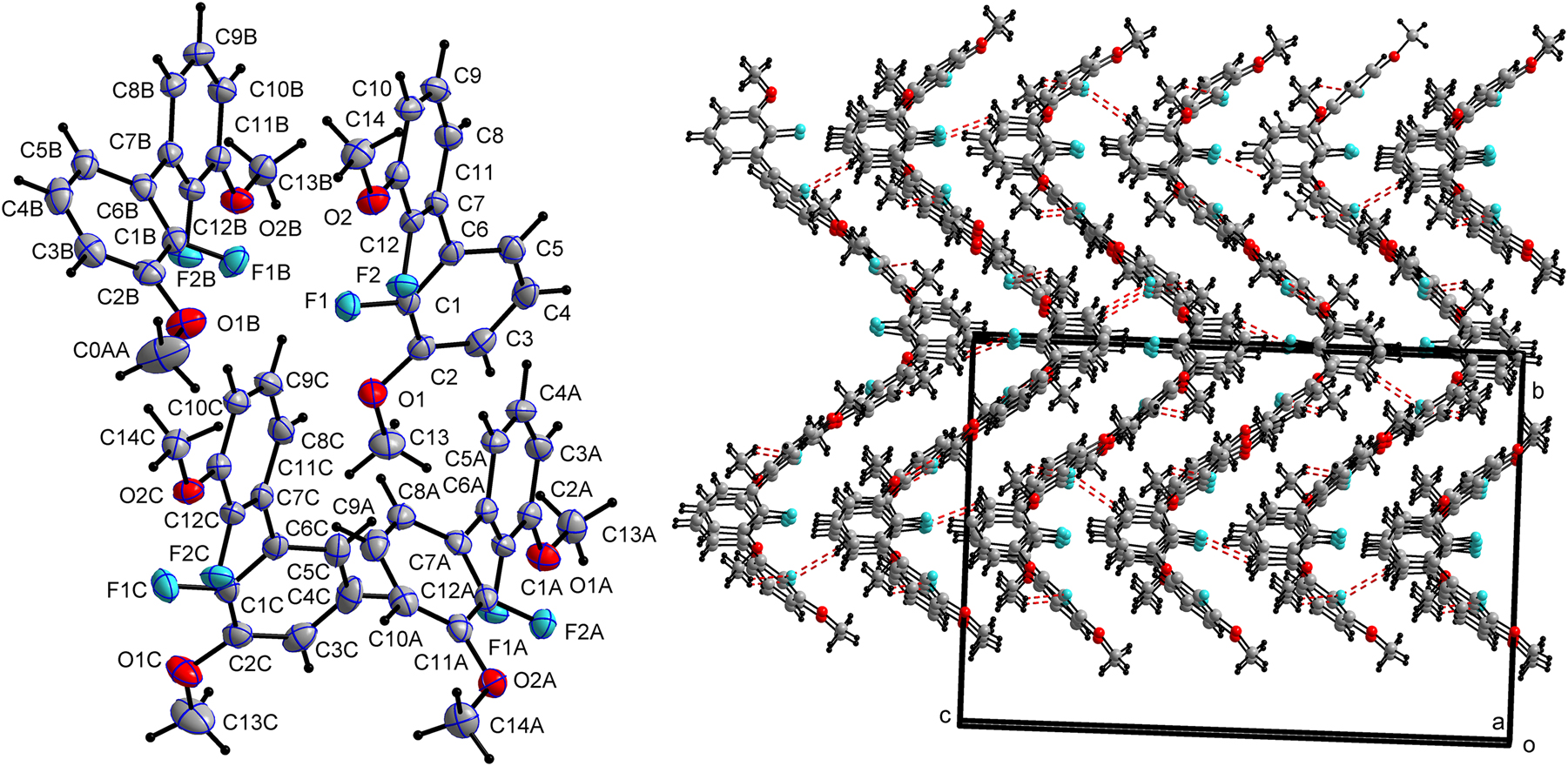 Teaser image from the article