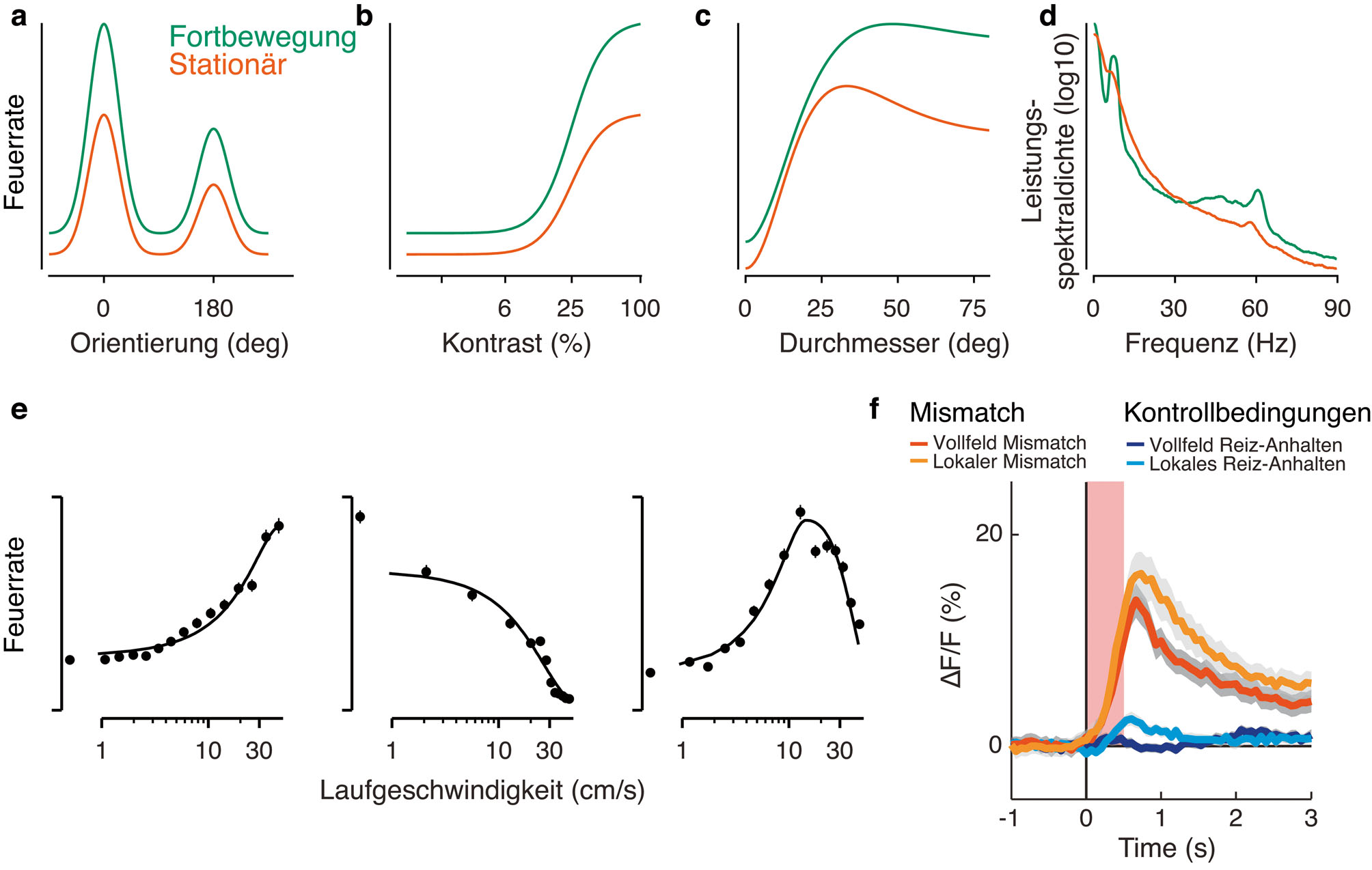 Abb. 2: Einflüsse von Fortbewegung auf einige V1 – Antworteigenschaften. a) Fortbewegung erhöht Orientierungstuningkurven. b) Fortbewegung erhöht den Response-Gain von kontrastabhängigen Antworten. c) Fortbewegung verändert die räumliche Integration: Die bevorzugte Größe der rezeptiven Felder wird erhöht und die Einflüsse von Surround Suppression reduziert (a-c) – mit freundlicher Genehmigung modifiziert aus Erisken et al. (2014). d) Fortbewegung unterdrückt die Amplitude der niedrigen LFP – Frequenzen und erhöht die Amplitude der höheren Frequenzen, unter anderem eines schmalen Frequenzbandes im Gamma – Bereich (Fiorini und Busse, unpublished). e) Beispiel Nervenzellen in V1 mit Tuning für Laufgeschwindigkeit (Erisken und Busse, unpublished; Saleem et al., 2013). f) Vollfeld und lokale Mismatch-Antworten von einer Population von V1 – Nervenzellen – mit freundlicher Genehmigung modifiziert aus Zmarz und Keller (2016).