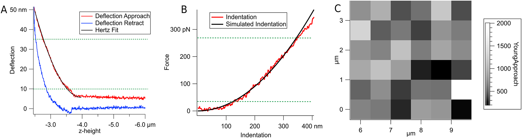 Figure 3: 
(A) Representation of an AFM force curve: deflection v/s z-height with approach and retract curves in red and blue, respectively. The Hertz fit on the approach curve is displayed in black with a fit range of 10–35 nm (green lines). (B) Representation of an AFM indentation curve: Force v/s indentation in red, where force is calculated using the relation F = kd, and then plotted against the indentation calculated using the formula δ = z – d. Force range used to fit it corresponds to the deflection range used in the Hertz fit. (C) Force map, where each point is the Young's modulus calculated from the Hertz fit of the approach curve.