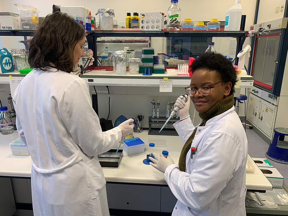 Fig. 1:
Daily life in the lab. PhD student Danai and her local Postdoc mentor Anke. Photo: A. Dirks/SynAGE.