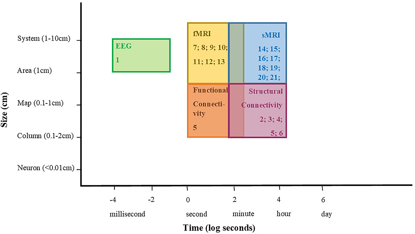 Figure 1: 
Graphical summary of some of the currently available neuroimaging techniques used in transgender research presented in the current review. This figure illustrates the sites of action in the brain on the vertical axis, indicating the smallest and largest sizes of the region from which the technique provides information. The horizontal axis represents the temporal dimensions over which information can be collected with each technique. The spatio-temporal capabilities are depicted by colored rectangles per neuroimaging technique. Reviewed papers are categorized per technique. Figure loosely modeled after Churchland and Sejnowski (1988). NB. sMRI and fMRI are acquired similarly; however, anatomical brain structure varies less in function of time compared to neuronal brain function. Electroencephalogram (EEG): (1) Künzel et al. (2010). Functional and structural connectivity: (2) Kranz et al. (2014); (3) Rametti et al. (2011a); (4) Rametti et al. (2011b); (5) Manzouri and Savic (2018); (6) Hahn et al. (2015). Functional MRI (fMRI): (7) Berglund et al. (2008); (8) Burke et al. (2014); (9) Carrillo et al. (2010); (10) Schöning et al. (2010); (11) Soleman et al. (2013); (12) Sommer et al. (2008); (13) Burke et al. (2016). Structural MRI (sMRI): (14) Zhou et al. (1995); (15) Savic and Arver (2011); (16) Luders et al. (2009); (17) Luders et al. (2012); (18) Zubiaurre-Elorza et al. (2013); (19) Hulshoff Pol et al. (2006); (20) Kim et al. (2015); (21) Zubiaurre-Elorza et al. (2014); (22) Seiger et al. (2016).
