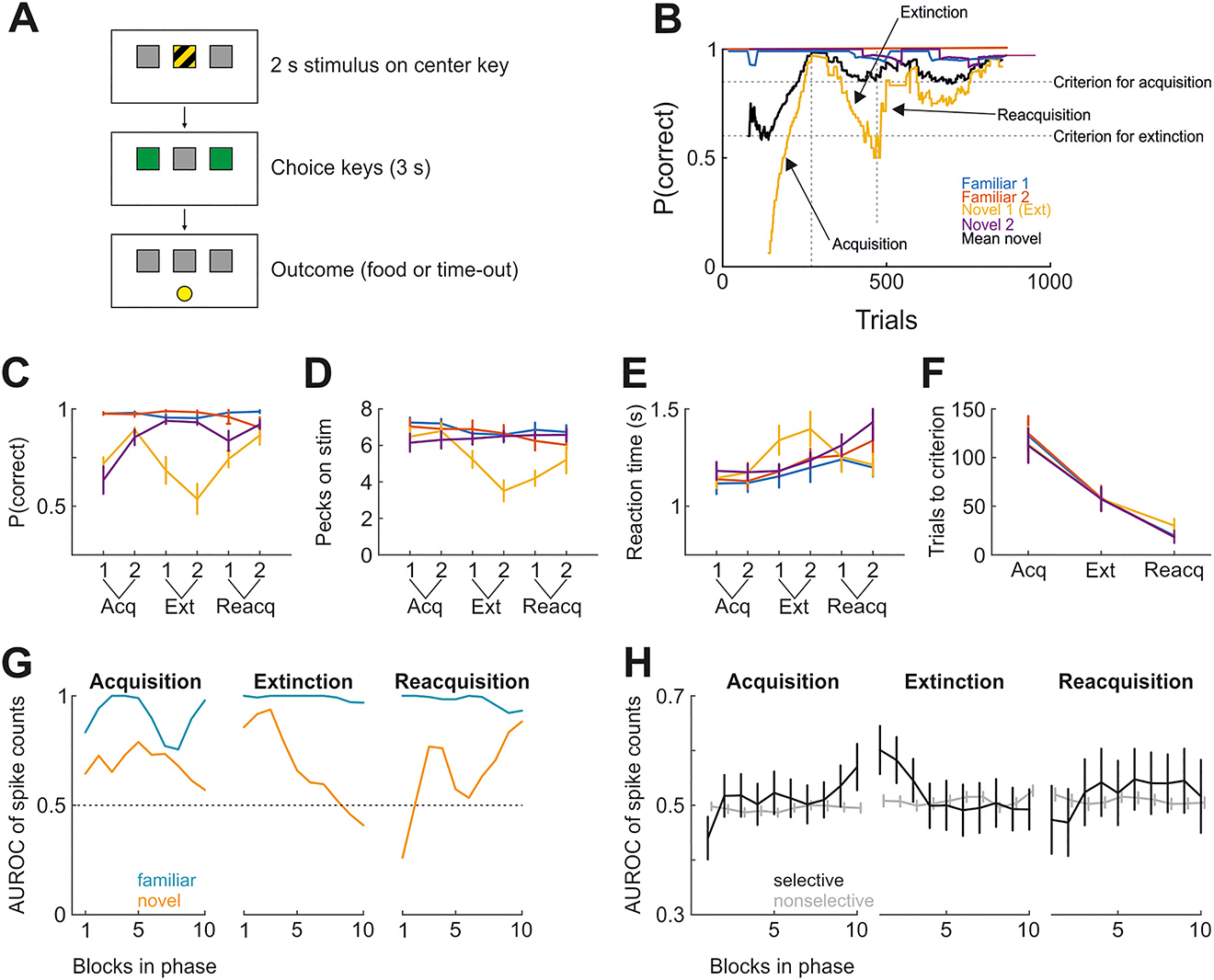 Figure 2:
Investigating single-neuron activity during three stages of learning. (A) Schematic of the behavioral paradigm. (B) Performance (moving average of 120 trials) in an example session. Novel stimulus 1 was designated as to-be-extinguished stimulus. Vertical dotted lines signify transitions between learning phases (acquisition, extinction, reacquisition), and horizontal lines denote performance criteria for phase transitions (successful acquisition for the novel stimuli and successful extinction for novel stimulus 2). (C) As in B, but averaged for first and second halves over all sessions from all birds. (D) As in C, but showing the number of pecks emitted onto the visual discriminative stimulus within 2 s. Emitted pecks decreased exclusively for the extinguished stimulus during extinction. (E) As in C, but showing reaction times from stimulus offset to choice. Reaction times increased during extinction only for the extinguished stimulus. (F) The number of trials until the learning phase was considered complete. (G) Neurometric curve for a single NCL neuron during task performance, shown as discriminability (AUROC) of familiar and novel stimuli. During extinction, the neuron becomes less selective for the novel stimuli. During reacquisition, the neuron again starts discriminating. Discrimination for the familiar stimuli is high throughout. (H) As in G, but showing the average AUROC of all recorded neurons for the novel stimulus pair only. All recorded neurons were separated based on the degree to which they discriminated the familiar stimuli (Hedges’ g between spike count distributions >/< 0.6 in the first 60 trials of each session). Data points in C through F represent the mean across all birds (n = 5). Error bars denote standard error of the mean. AUROC, area under the receiver operating characteristic curve; NCL, nidopallium caudolaterale.