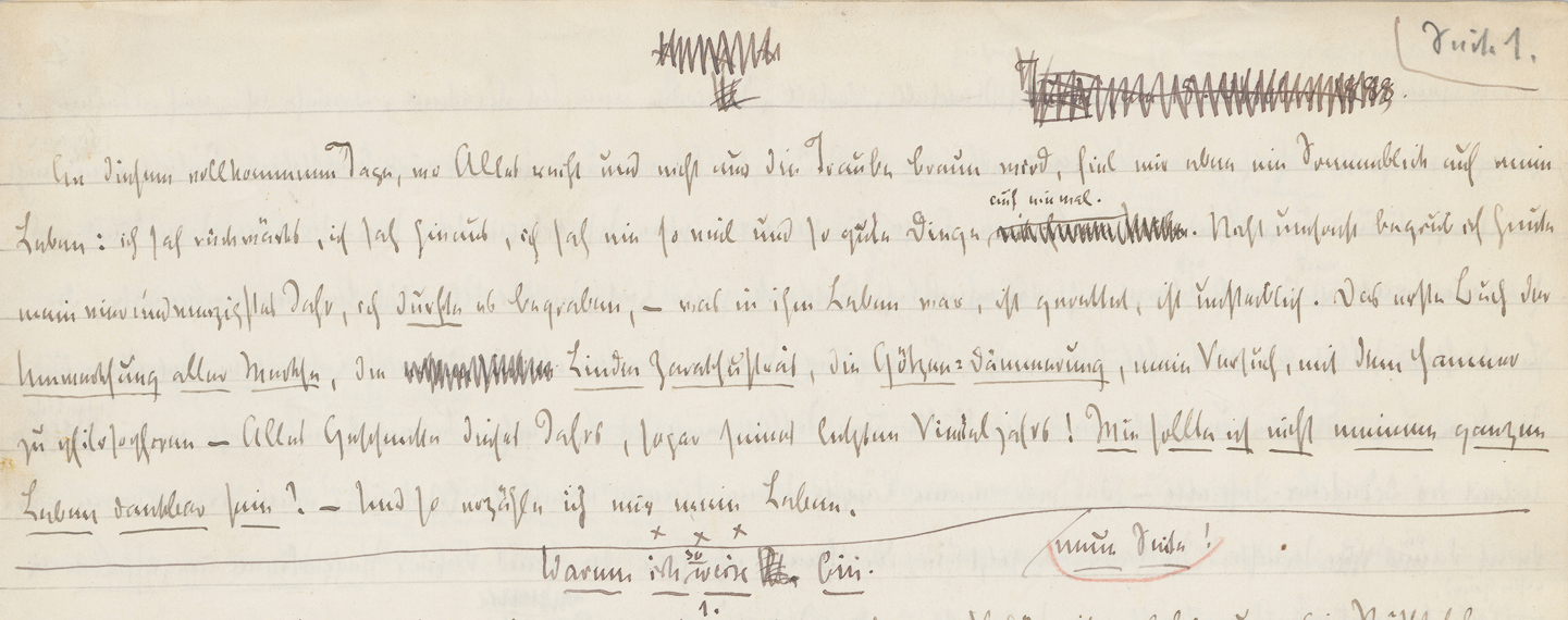 Abb. 1: Ausschnitt aus dem Druckmanuskript von Ecce homo (GSA 71/31, D 25, S. 1 / Bl. 4r)
