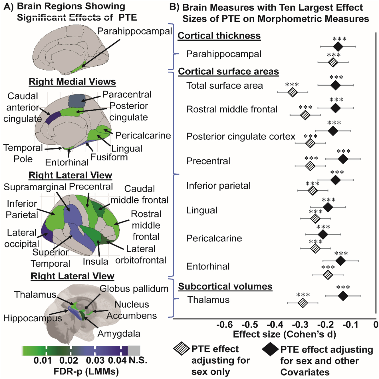 Figure 2: 
Children with PTE has thinner cortices (in mm), smaller surface areas (in mm2) and smaller subcortical volumes (in mm3). (A) Shows all the region-specific brain measures that showed a significant PTE effect after adjusting for covariates, calculated using linear mixed models (FDR-p: p-values corrected for multiple comparison using false discovery rate). Top image: right hemisphere medial view of region(s) that showed significant PTE effects on cortical thickness; middle images (top & bottom): right hemisphere medial and lateral views of region(s) that showed significant PTE effects on surface area, respectively; and bottom image: right hemisphere lateral view of region(s) that showed significant PTE effects on subcortical volumes; (B) plots the top 10 effect sizes (Cohen’s d) and 95 % confidence intervals calculations for regional morphometric measures in (A) that showed the strongest associations with PTE first adjusting for sex only (base model) and then for sex and other covariates (covariate-adjusted model). The covariate-adjusted model included: the youth’s sex, age and race, parental education, annual family income, prenatal exposures to marijuana and alcohol as fixed effects, and MRI scanner ID as random effect. Negative effect sizes indicate a thinner cortex, or smaller areas or subcortical volumes in children with PTE compared to unexposed controls. Asterisks used in (B) are for the significance of group differences between children with and without PTE before and after adjustment for covariates in the LMMs, where: *p-value <0.05, **p-value <0.01 and ***p-value <0.001.
