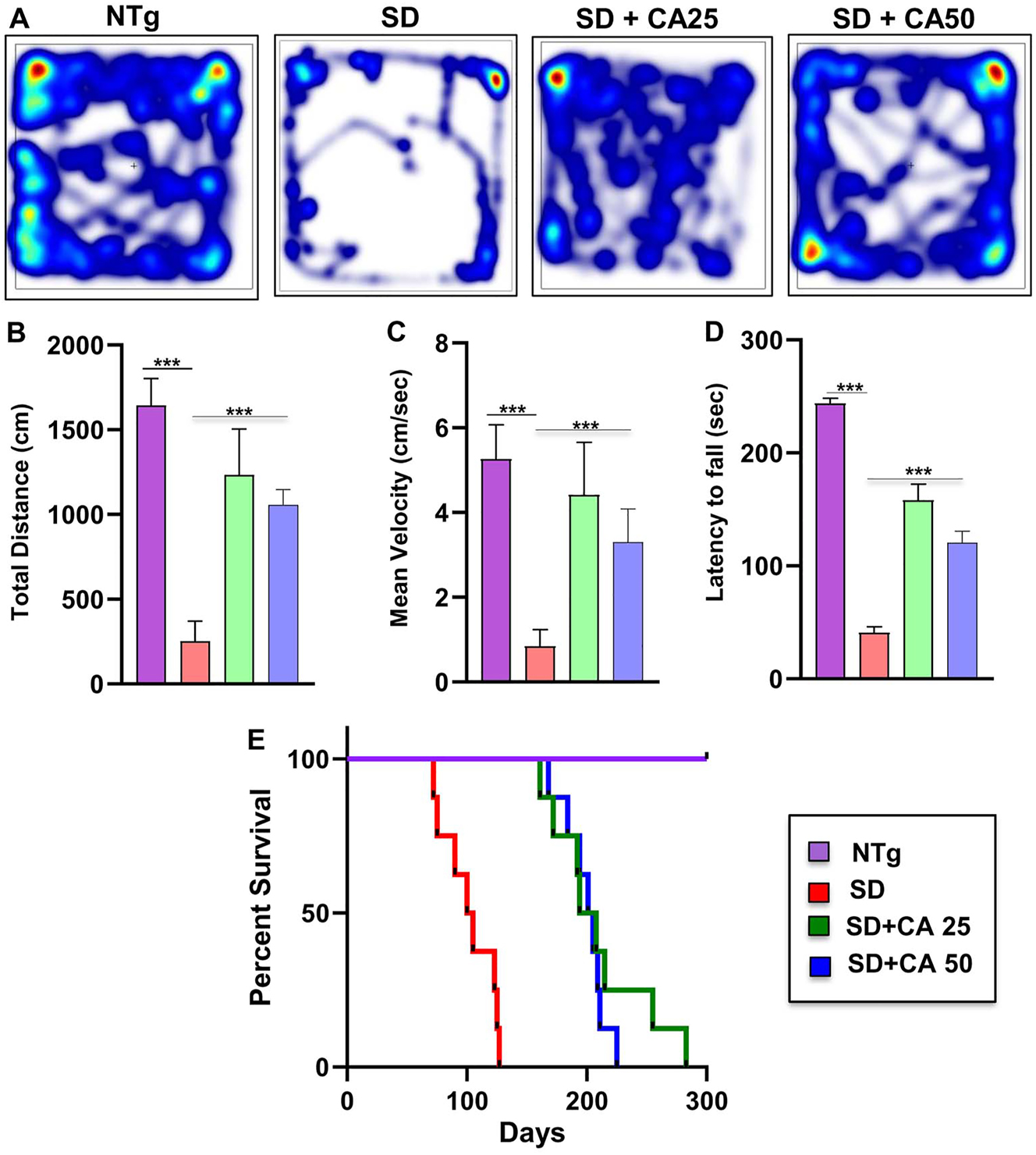 Figure 5: 
Oral gavage of CA alleviates motor deficits and increases survival in Sandhoff mice. Three-months-old SD mice (n=6/group) were treated orally with two doses of CA (25 and 50 mg/kg/day) solubilized in 100 µL 0.5 % methylcellulose via gavage. Control SD mice received 100 µL 0.5 % methylcellulose as vehicle. After 2 months of treatment, horizontal locomotor activities of experimental animals were monitored in the open field arena by the Noldus software (A, heatmap; B, total distance; C, mean velocity). Latency of each mouse to fall on the base of a rotarod was monitored (D). Kaplan–Meier survival analysis (n=8) (E). Data represent mean ± SEM. Statistical analysis was performed by one-way ANOVA followed by Dunnett’s multiple comparison test; ***p<0.001.
