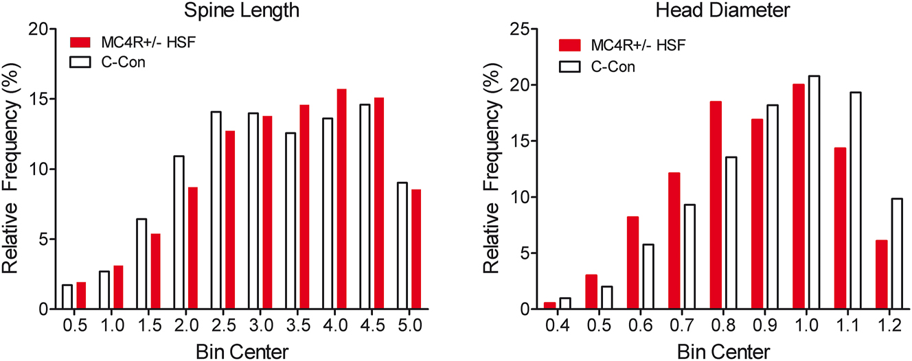 Figure 7: 
The frequency distributions of MSN spine length (A) and head diameter (B) both displayed a population shift due to the effect of MC4R haploinsufficiency under a high saturated fat diet. MC4R+/− animals fed the high saturated fat diet have a higher population in morphologically longer spines with smaller head diameters relative to controls with shorter spines with larger head diameters. For spine length, the number of binned values were 3,433 and 3,866 for control and MC4R+/− HSF, respectively. For head diameter, the number of binned values were 1,833 and 2,746 for control and MC4R+/− HSF, respectively.

