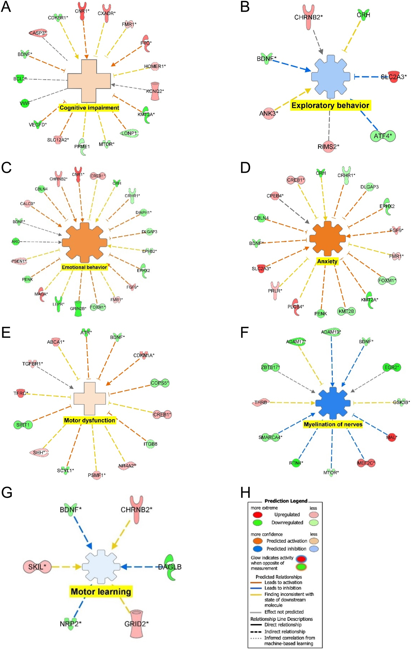 Figure 7: 
Regulation of DEGs from GSE49028 dataset of binge EtOH-treated mice on disease and biological functions related to anxiety and locomotor activity. (A) Regulation of DEGs leading to the activation of cognitive impairment (z-score activation=0.359, p-value=0.000463); (B) regulation of DEGs leading to inhibition of exploratory behavior (z-score activation=−0.447, p-value=0.00038); (C) regulation of DEGs leading to activation of emotional behavior (z-score activation=1.113, p-value=0.03680); (D) regulation of DEGs in leading to activation of anxiety (z-score activation=1.543, p-value=0.04120); (E) regulation of DEGs in leading to activation of motor dysfunction (z-score activation=0.249, p-value=0.001740); (F) regulation of DEGs in leading to inhibition of myelination of nerves (z-score activation=−1.353, p-value=0.003830); (G) regulation of DEGs in leading to inhibition of motor learning (z-score activation=−0.128, p-value=0.005550); and (H) legend.
