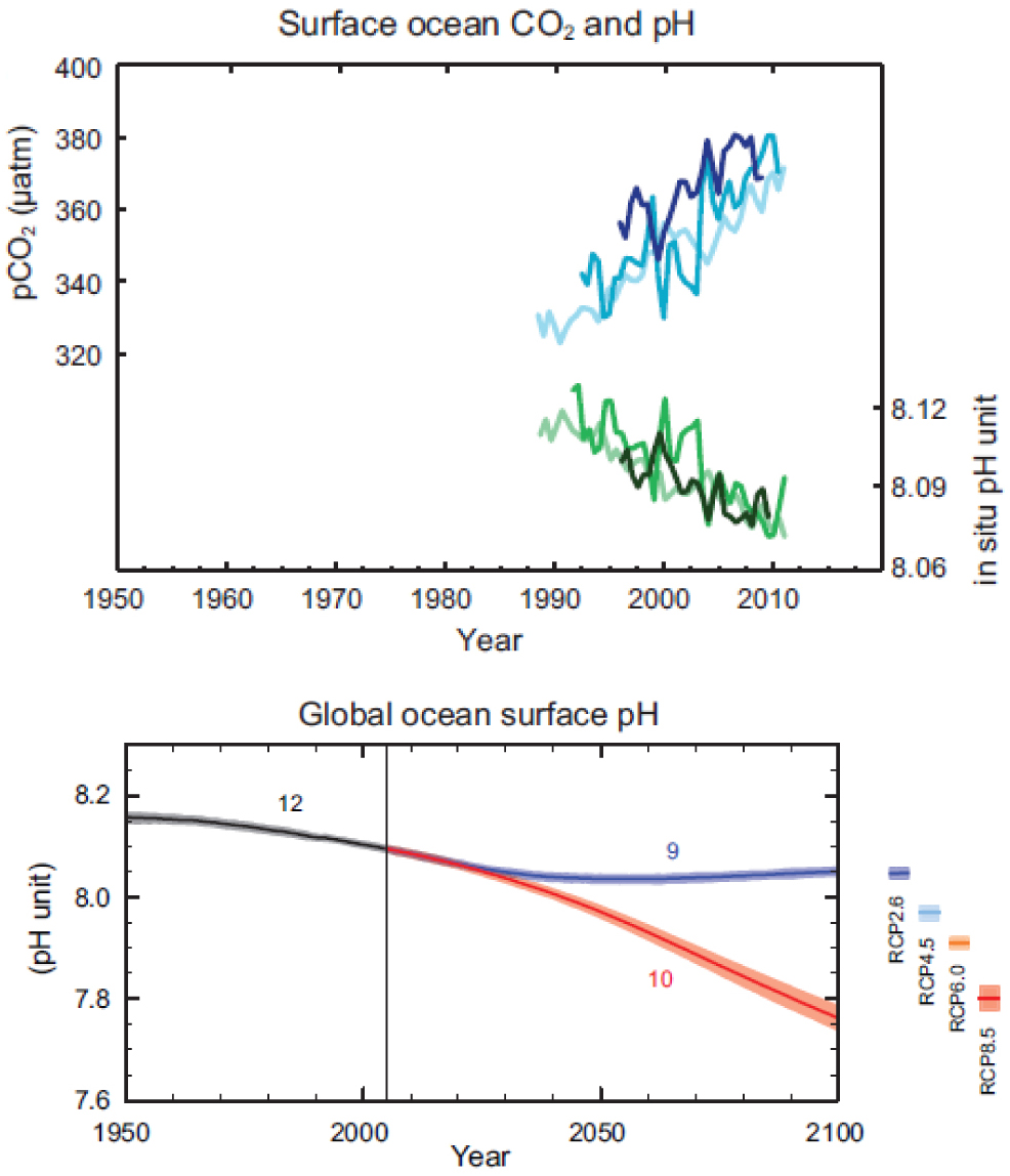 Fig. 1 Surface and global ocean pH according to the global warming narrative. On the left, measured concentration of CO2 and pH in few selected locations. On the right, computed global pH to 2100 according to different CO2 emission scenarios. The evidence are three ‘surface measurements’ in the Atlantic and Pacific all below 20 years and a computed global ocean pH. The ‘surface measurements’ – see analysis of the Hawaiian Ocean Time Series proposed later – also includes computations to replace missed measurements or extend the time series. The ‘surface measurements’ – see analysis of the Monterey Bay time series proposed later – do not include not cooperative projects not supportive of declining trends. This ‘evidence’ is absolutely not enough to make any claim. The images are taken from IPCC (2013).