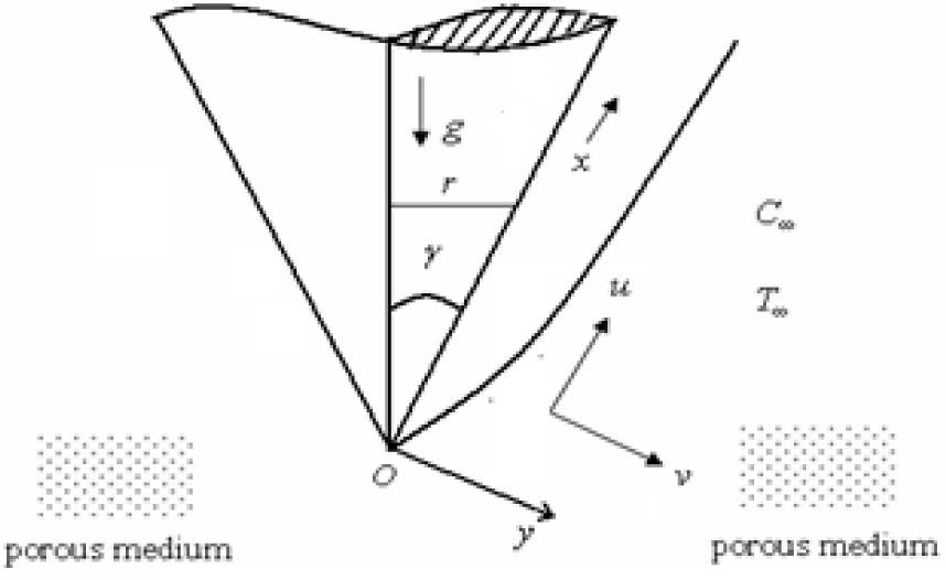Fig. 1 Physical Model and coordinate system