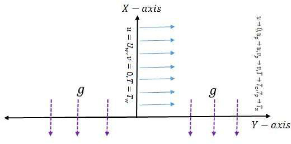 Fig. 1 Physical model