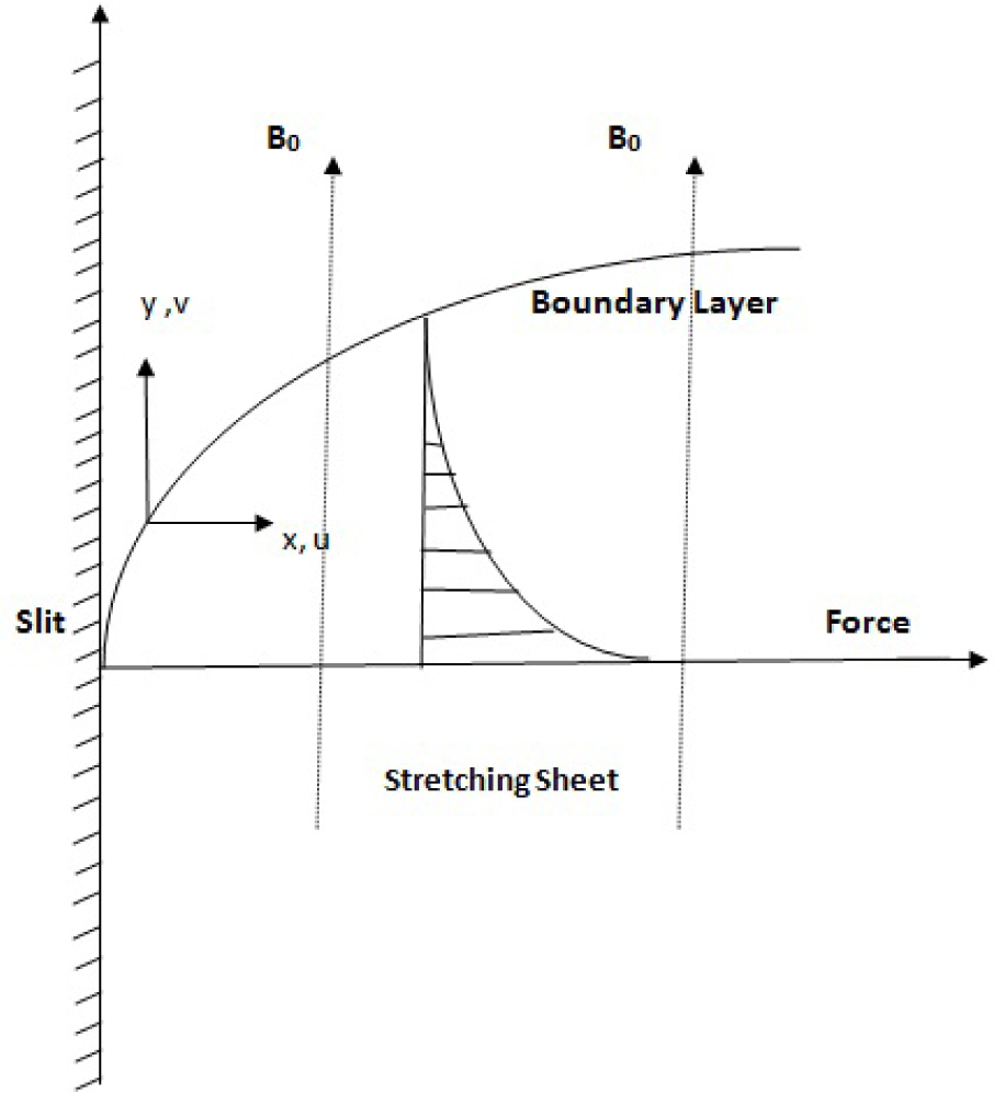 Fig. 1 Schematic Diagram of Flow.