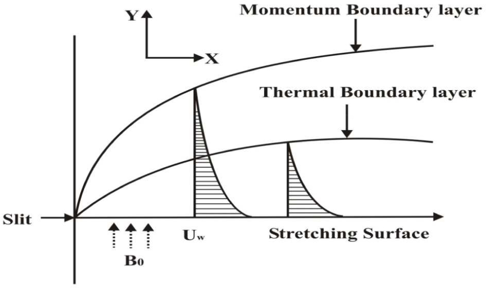 Fig. 1 Schematic representation of the flow diagram.