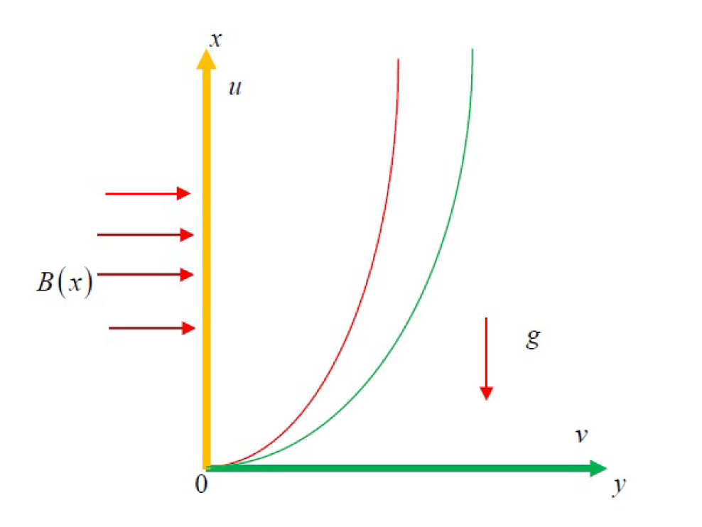 Fig. 1 Schematic diagram of the flow problem